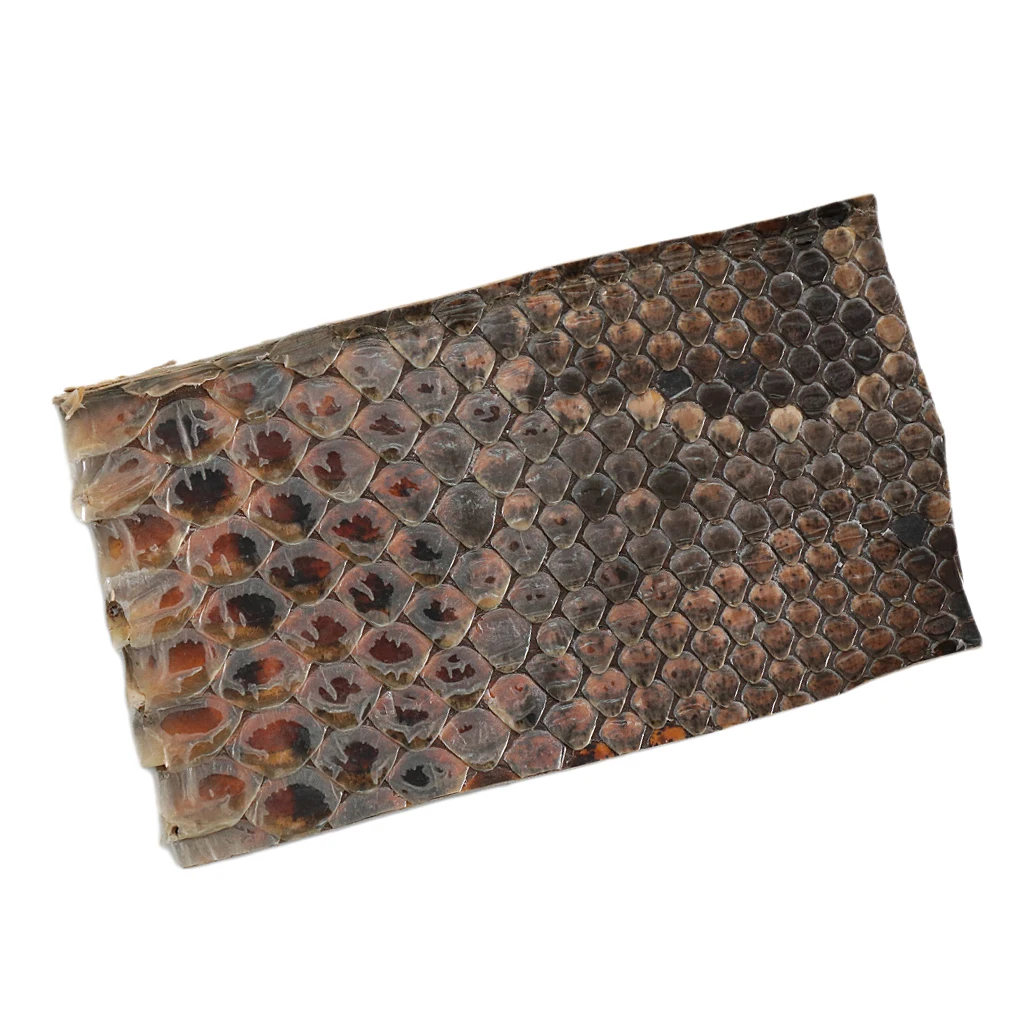 Durable Erhu Side Skin Snakeskin for Erhu-player DIY Accessory |