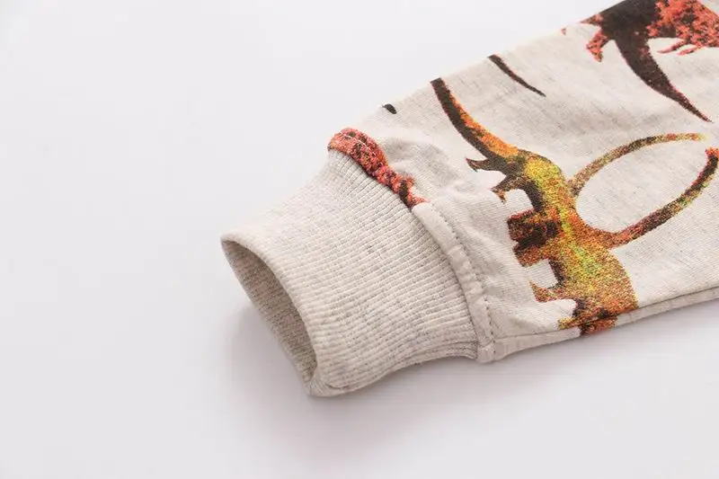 SAILEROAD Толстовка от 2 до 7 лет для мальчика динозавра с принтом и маленьким