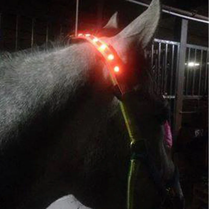 

34*2.5 cm LED Horse Halter Horse Pull Rope Leading Suit Decoration Luminous Tubes Horses Riding Equestrian Saddle Halters