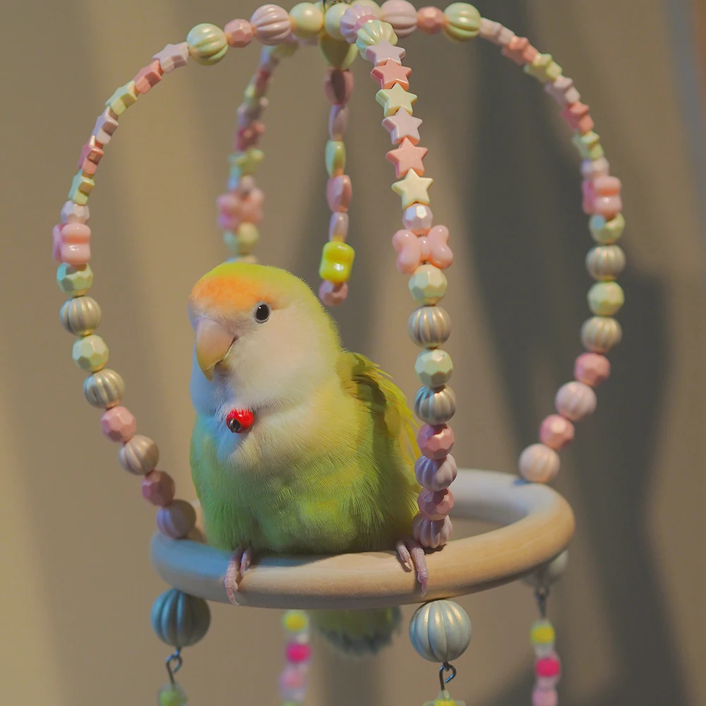 Parrot Bird Toys Cages Accessories Canaries Chewable Bell  Plastic Wooden Games Women's Stand  Budgie Training Swing 2021 New