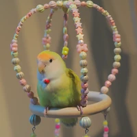 parrot bird toys cages accessories canaries chewable bell plastic wooden games womens stand budgie training swing 2021 new