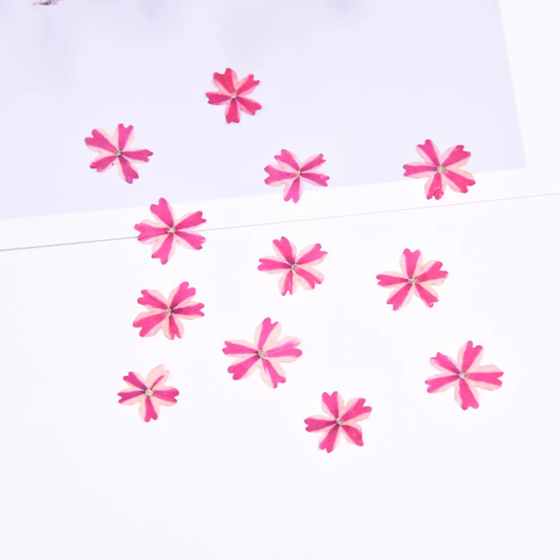 12pcs/bagBeauty cherry dried flower embossed pressed flower Valentine's day handmade gift DIY Resin Jewelry Making