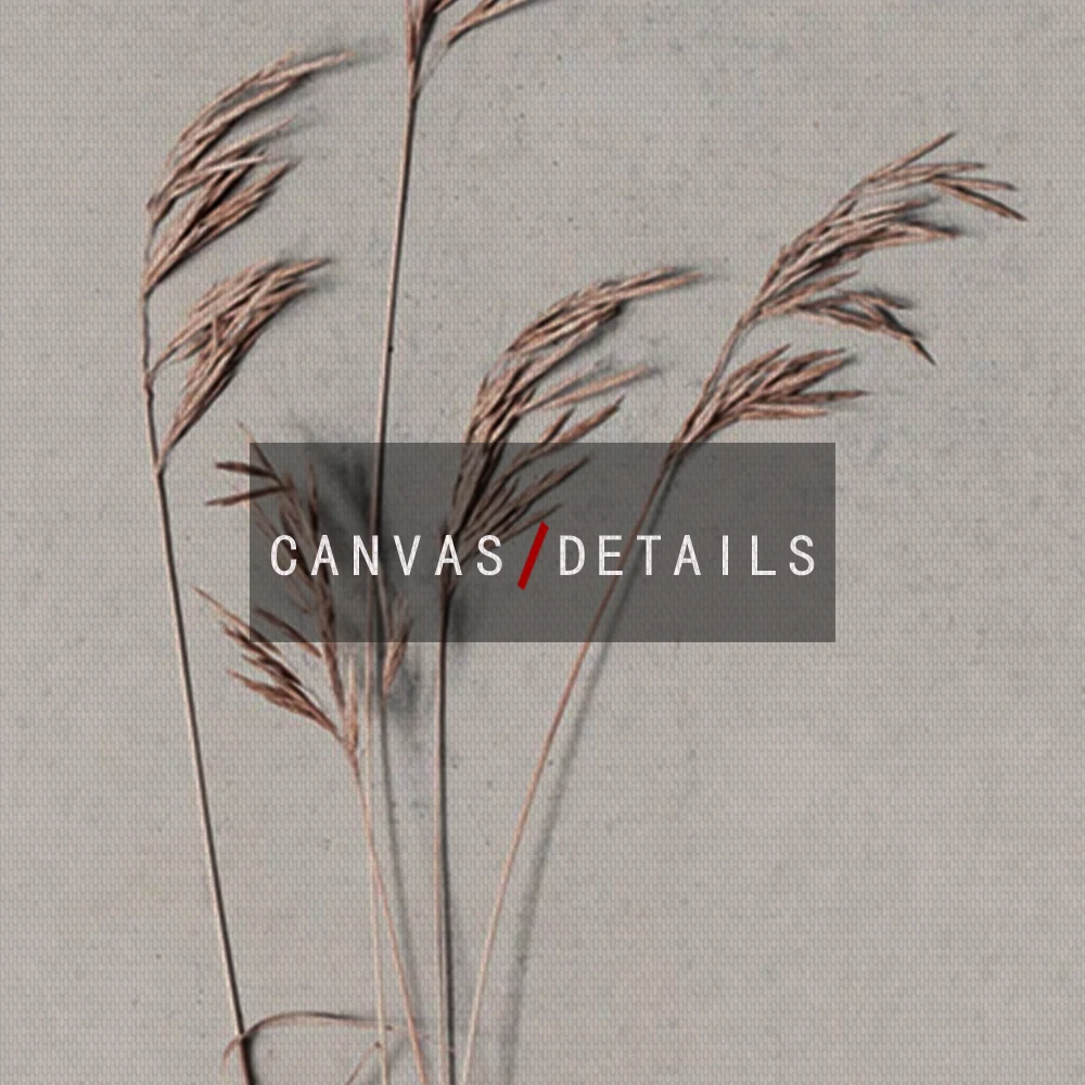 Абстрактный постер Matisse в виде пшеничных тростников скандинавский пейзаж