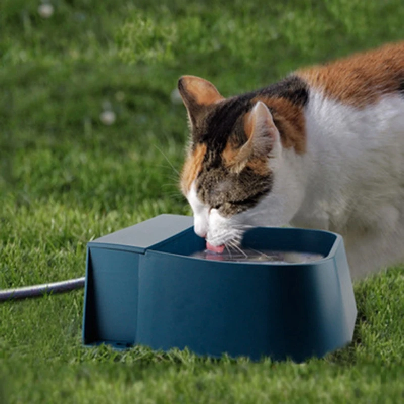

Pet Automatic Water Storage Bowl with Float Automatic Water Supply Drinking Animal Drinking Fountain