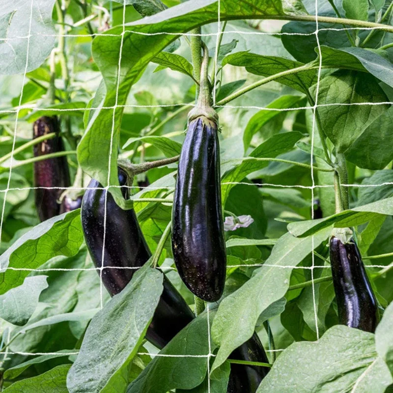 Горячая Распродажа 2 шт. 5x30 футов сетка для выращивания растений с