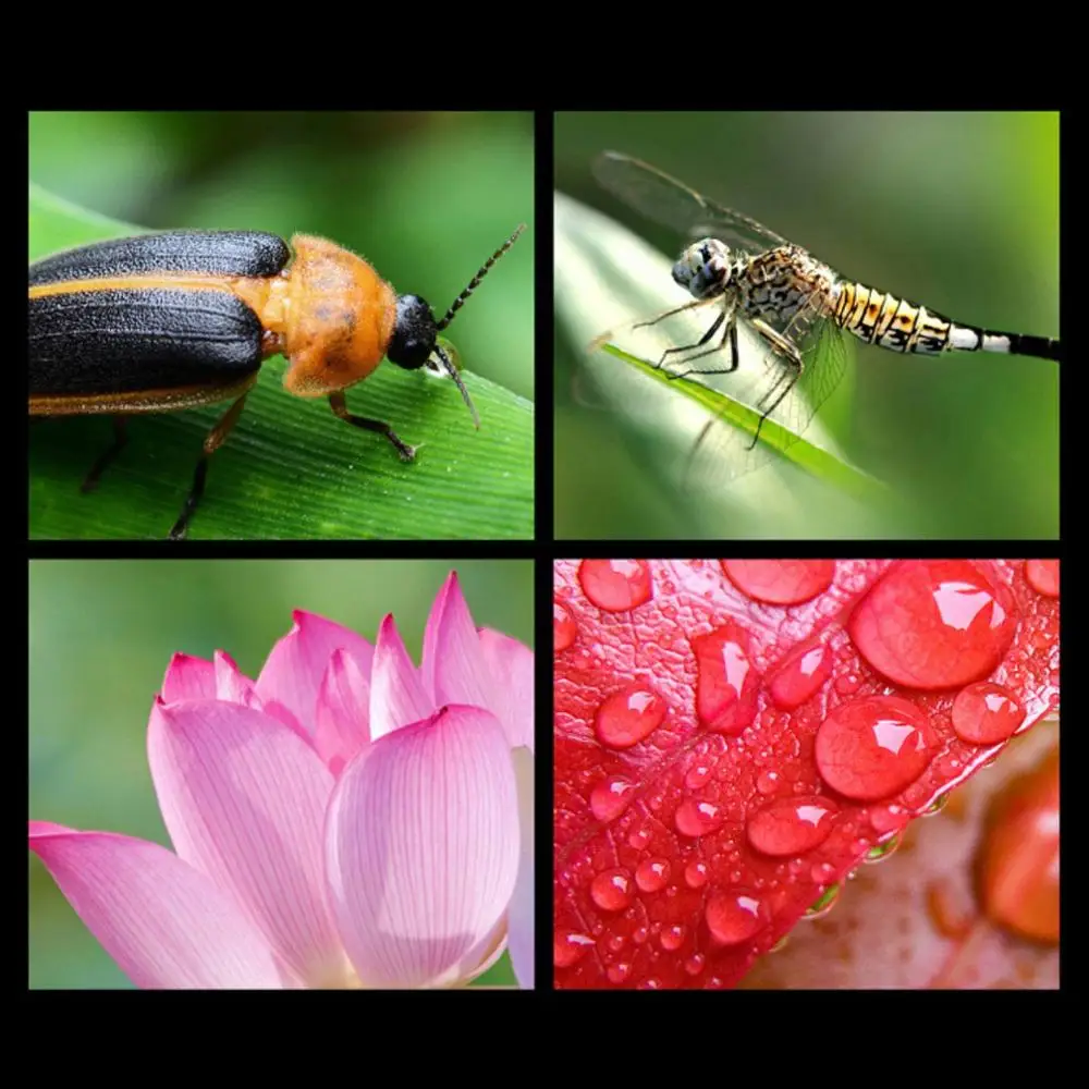 

FLH Professional Mobile Phone Lens Set 2-in-1 Hd 0.45x 49uv Super Wide-angle Macro 37mm Cpl Gradient Filter Entry-level Lens