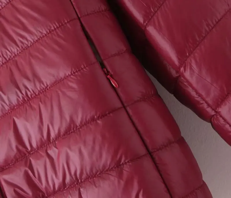 2019 Осенняя теплая Толстая парка с капюшоном и длинными рукавами на молнии