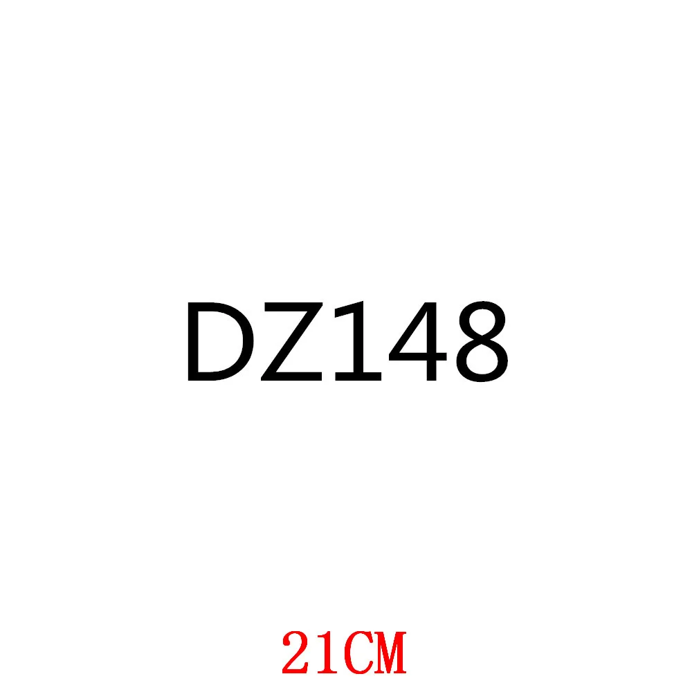 

DZ148-21