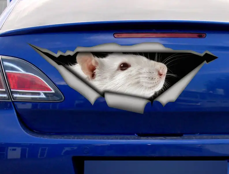 

2021 White gerbil decal, funny sticker, gerbil car sticker, gerbil sticker, pet decal