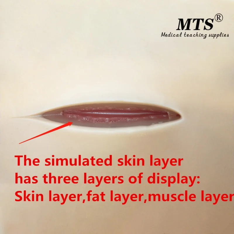 Медицинская силиконовая тренировка для кишечного анастомоза хирургическая