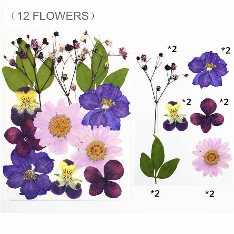 

Натуральные сухие цветы для творчества