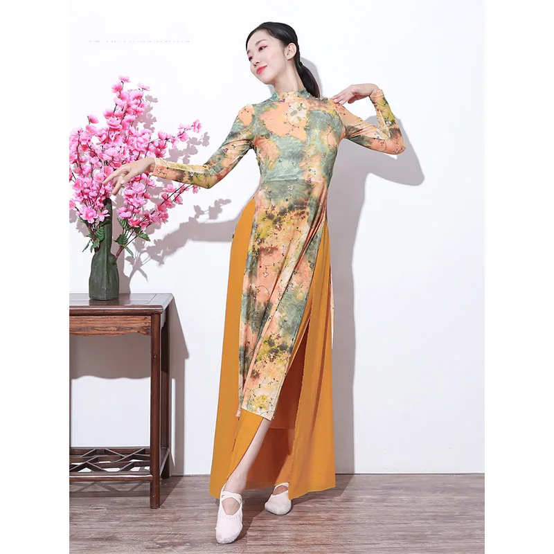 

Classical Dance Dress Slim Fit Elastic Mesh Long Sleeve New Antique Jazz Practice Dress Long Performance Modern Dance