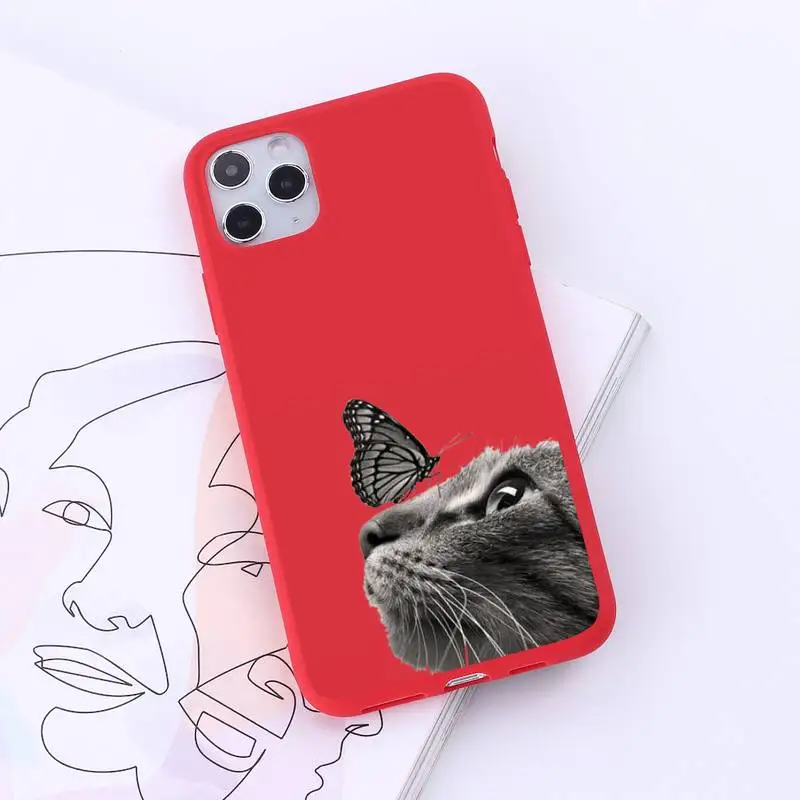 

Cartoon cute cat Phone Case Red Candy Color for iPhone 6 7 8 11 12 s mini pro X XS XR MAX Plus