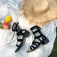summer new thick heel sandals women 2021 new breathable mid heel roman short boots martin womens sandals