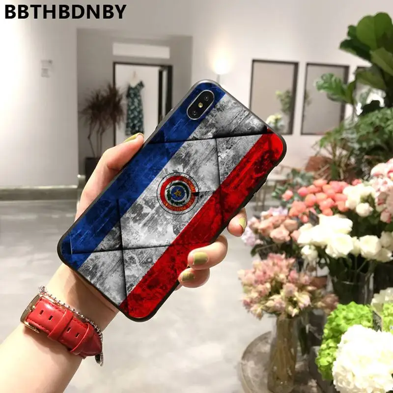 

Paraguay flag Phone Case for iPhone 11 12 mini pro XS MAX 8 7 6 6S Plus X 5S SE 2020 XR