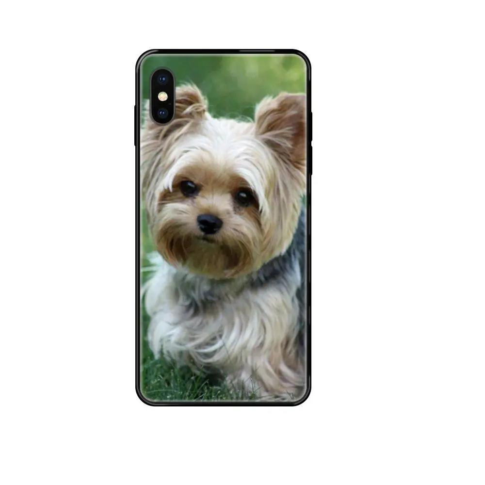 Милые маленькие чайные чашки Yorkie Dogs лидер продаж модные для Redmi 3S 4X 4A 5 5A 6 6A 7 7A 8 8A 8T 9