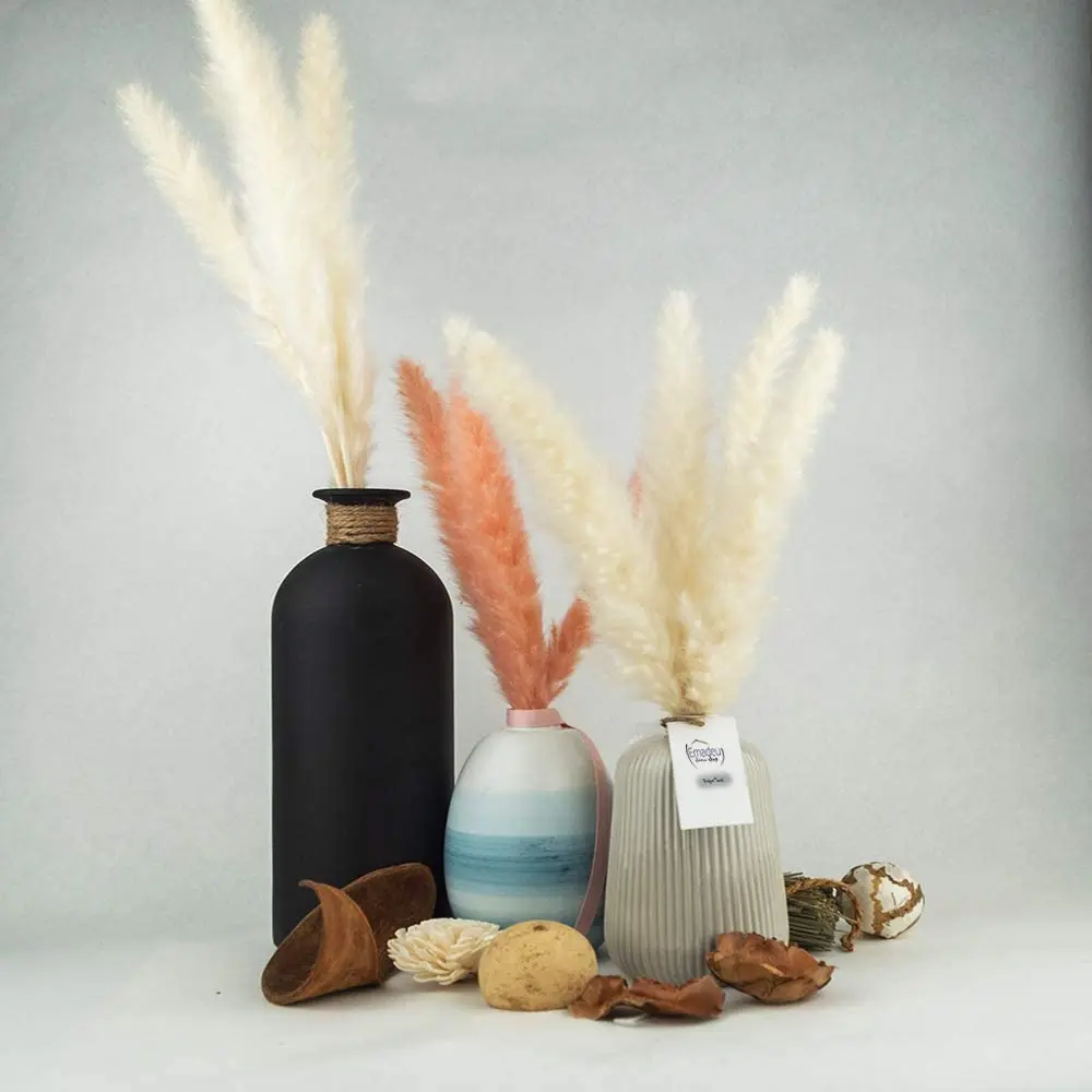 Декоративная маленькая трость 15 шт. Натуральные Сушеные маленькие пампасы трава