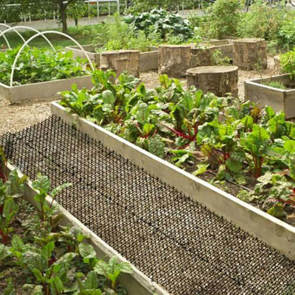

Keep Away Cat Scat Mat Outdoor Plants Plastic Protector Scarer 200x28cm