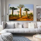 Baobabs проспект морондава мадагаскарский природный пейзаж украшение для гостиной домашний декор для стен