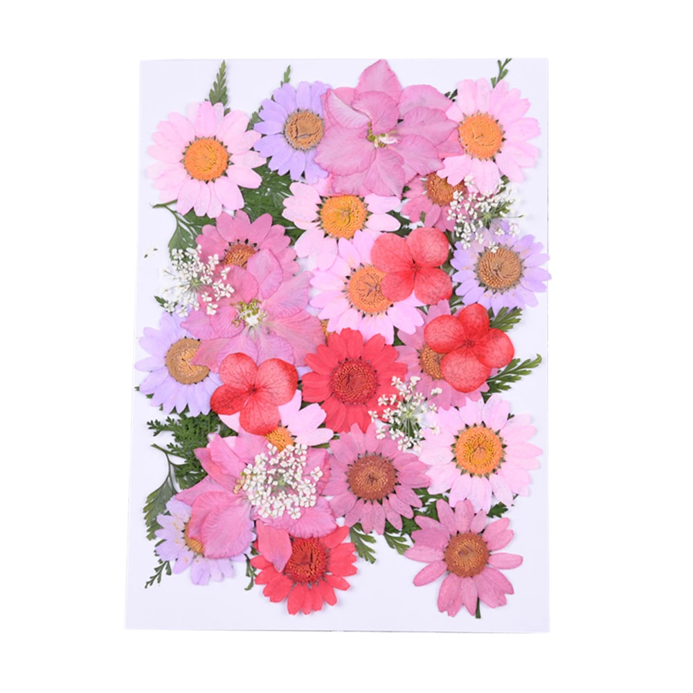 Свадебный подарок микс до искусство сушеный цветок фотография Реквизит