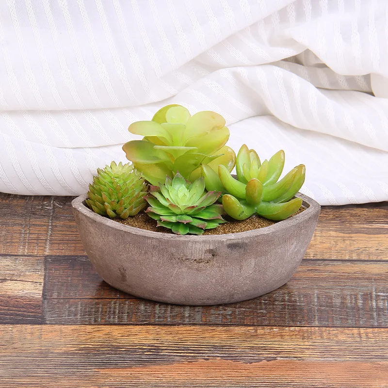 Суккуленты и кактус растения suculentas бонсай Искусственные суккуленты магазин