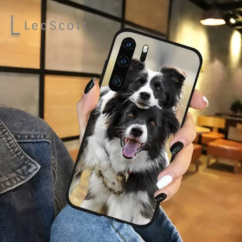 

Cute Border collie dog pet Phone Case For Huawei P 20 30 40 lite pro smart 2019 honor 10 i lite 8x nova 5t mate 20 pro funda