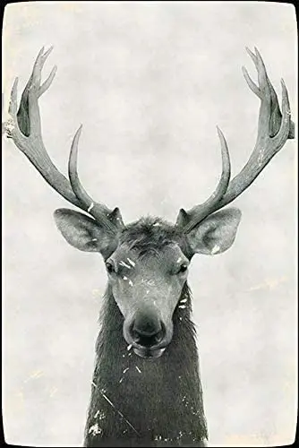 

Retro Metal Tin Sign Elk Home Bar Club Wall Decor Plate Posterselk Tin Metal Sign Cafe Bar Pub Art Decor 12X16 inches