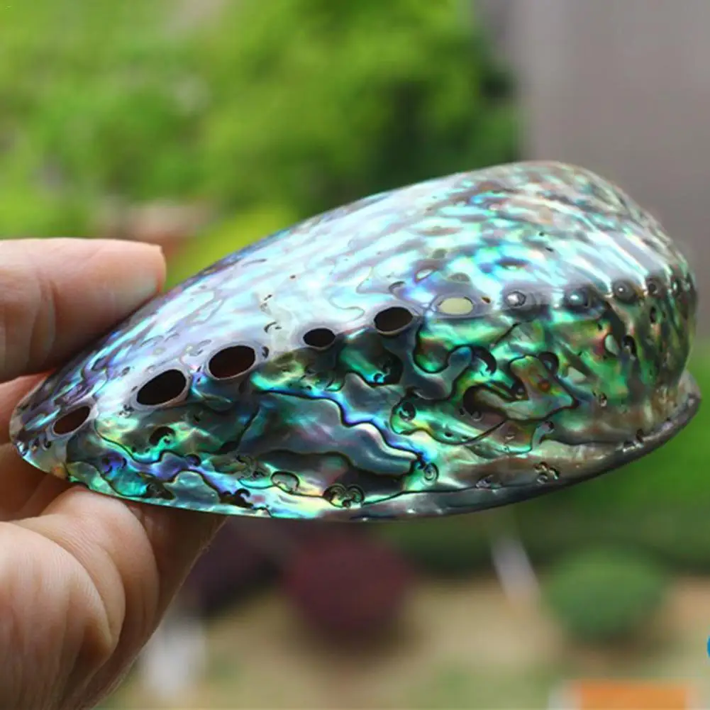 Blue Abalone Shell Smudging Bowl Seashell Incense Burner Easy Clean Aromatherapy Furnace Great Gift Home Decorations 30E | Дом и сад