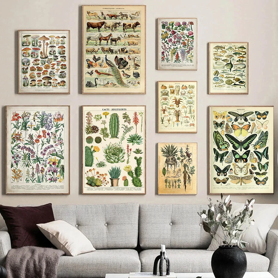 

Animal Botanical Educational Vintage Poster Butterfly Posters and Prints Fruit Canvas Painting Vegetable Picture Home Wall Decor
