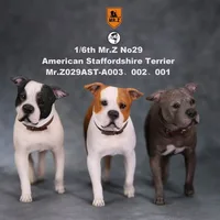 1/6 scale Mr.Z No.29 American Staffordshire terrier Dog simulation animal model toy For action figure doll