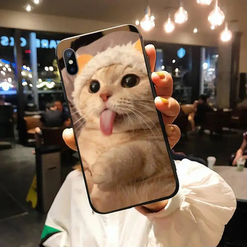 

cat animal high quality painting Phone Case for iPhone 11 12 pro XS MAX 8 7 6 6S Plus X 5S SE 2020 XR