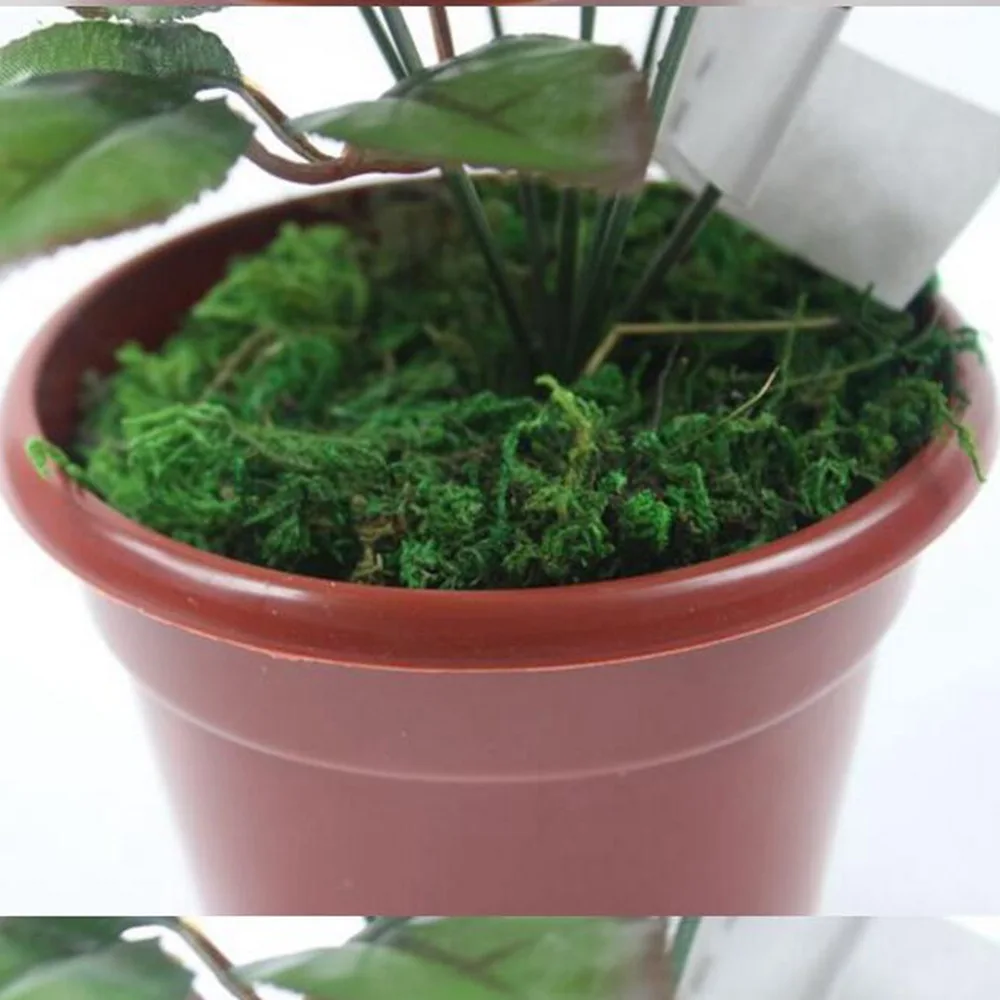 Натуральный 40 г в пакете натуральный зеленый мох декоративные растения ваза