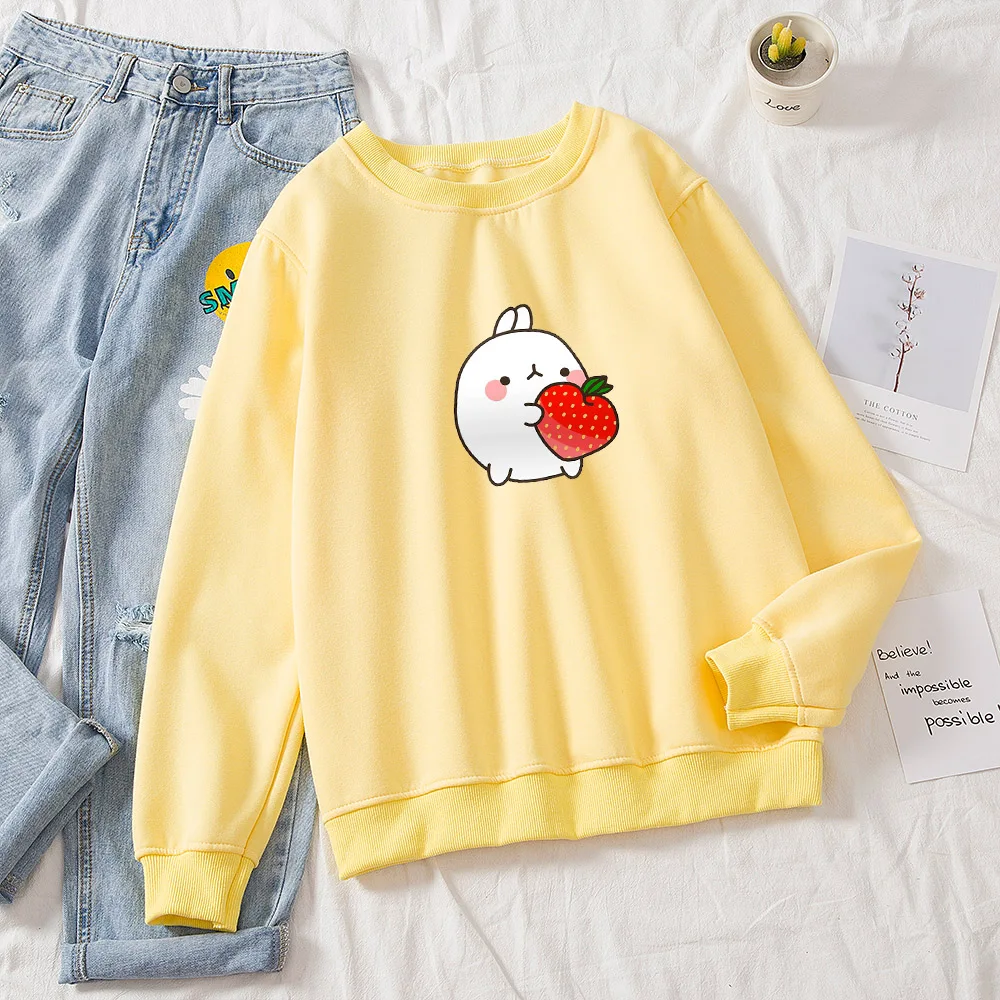 

Winter Spring Thickening Sweatshirt Women Cartoon Funny Oversize Hoodies Cotton Plus Size Pullover Female Purple Korean Top