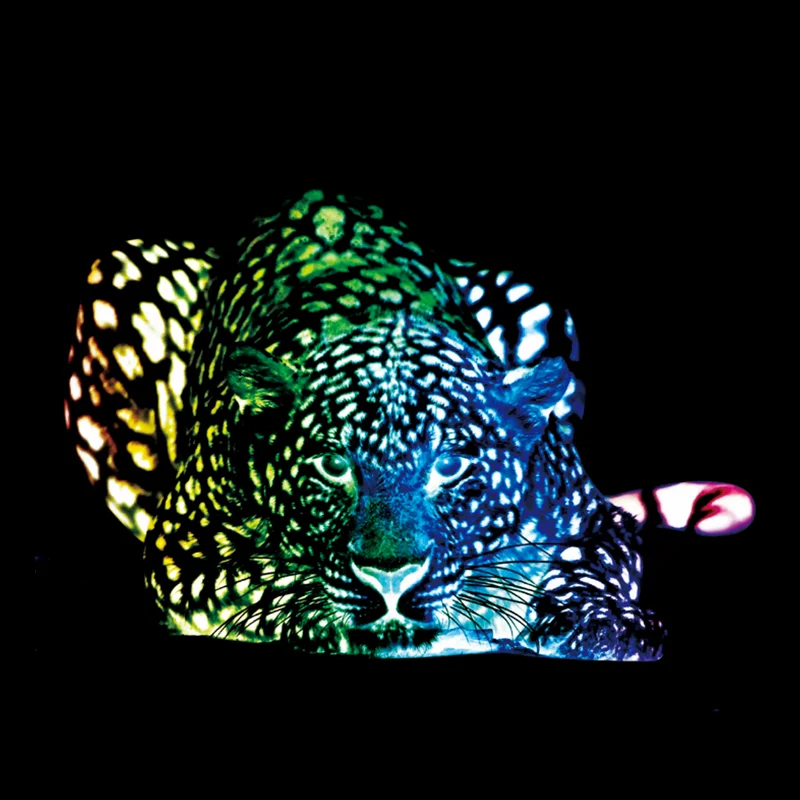 

Leopard Patches Noctilucent VOGUE Stickers for Clothes Thermal Transfer Printing Pattern DIY Decoration Animal Luminous Patch