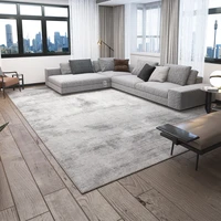 brief gray carpet for living room luxurious modern home bedroom carpet decorative thick floor rug coffee area non slip table mat