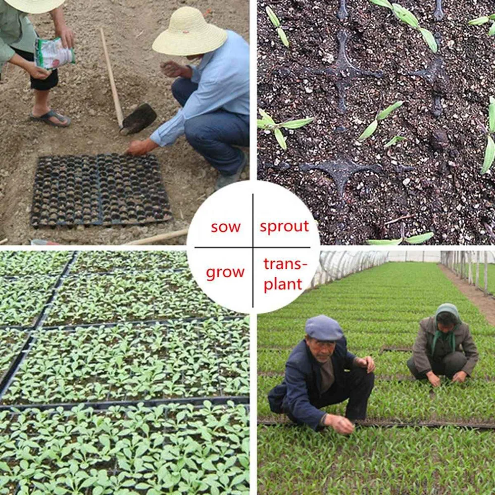 10 шт. лотки для выращивания растений садовые поддоны рассады высокопрочные