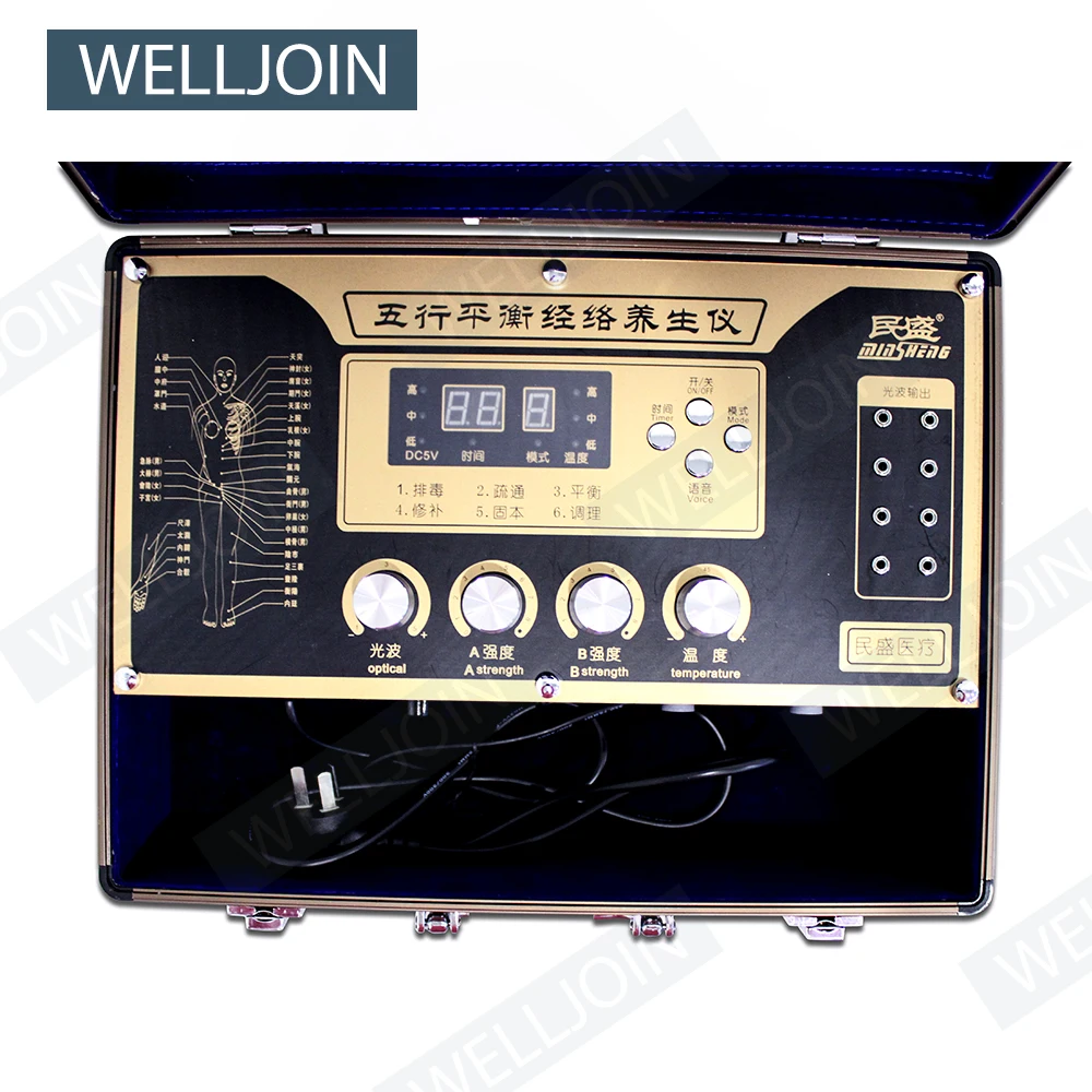 Кислотный и щелочной уровень DDS импульсный Биоэлектрический массажер