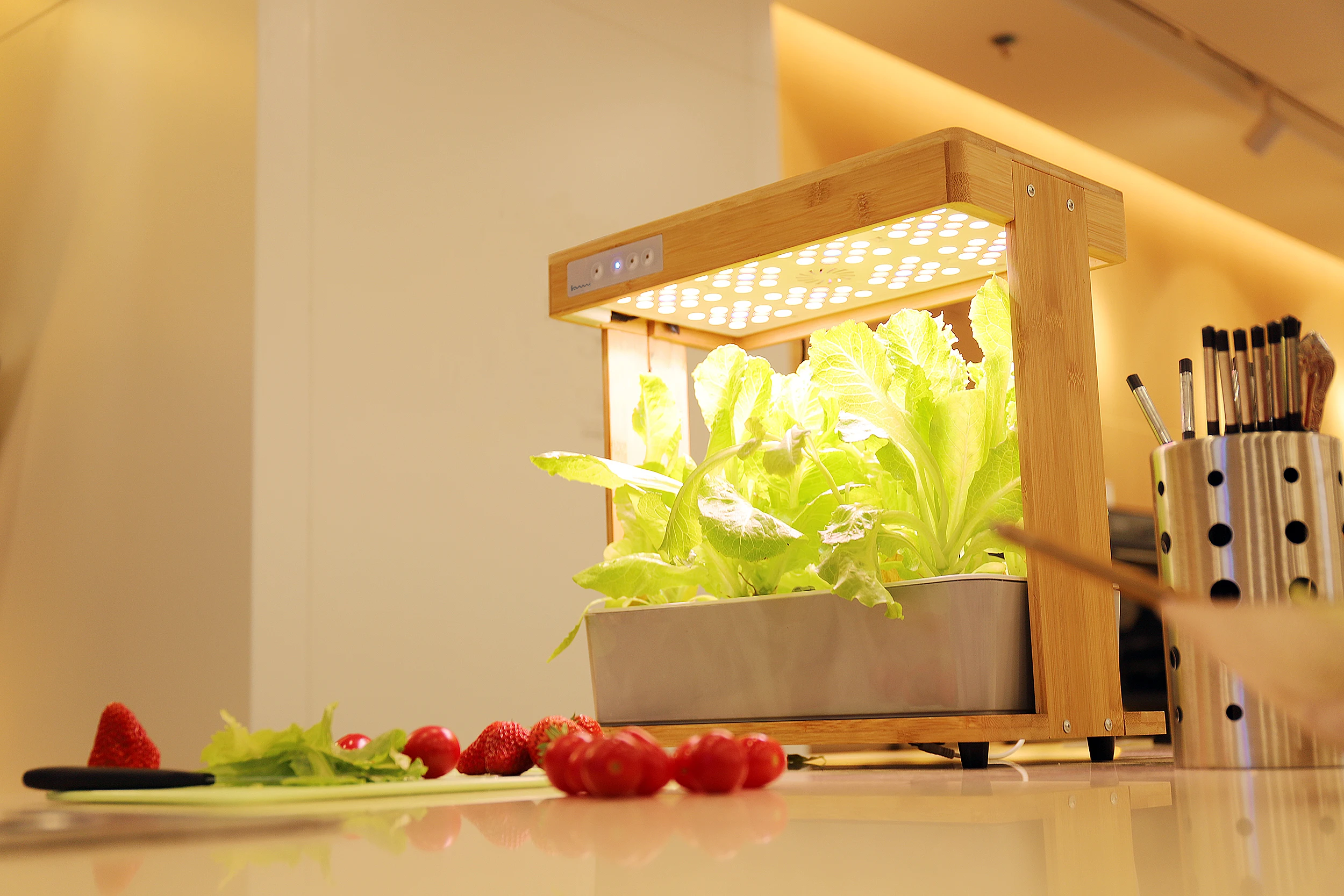 Система гидропоники интеллектуальная коробка с растительным светом Ecoo