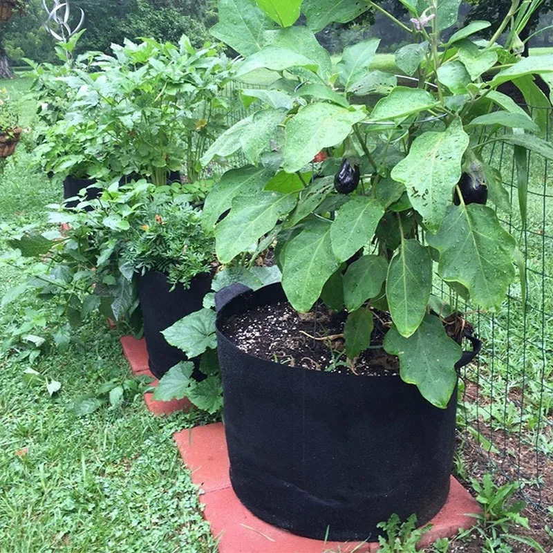 

Grow Bags 5 Gallon/7 Gallon/10 Gallon, 6 Pack Durable Fabric Planting Pots with Strap Handles, Perfect for Vegetables and Fruits