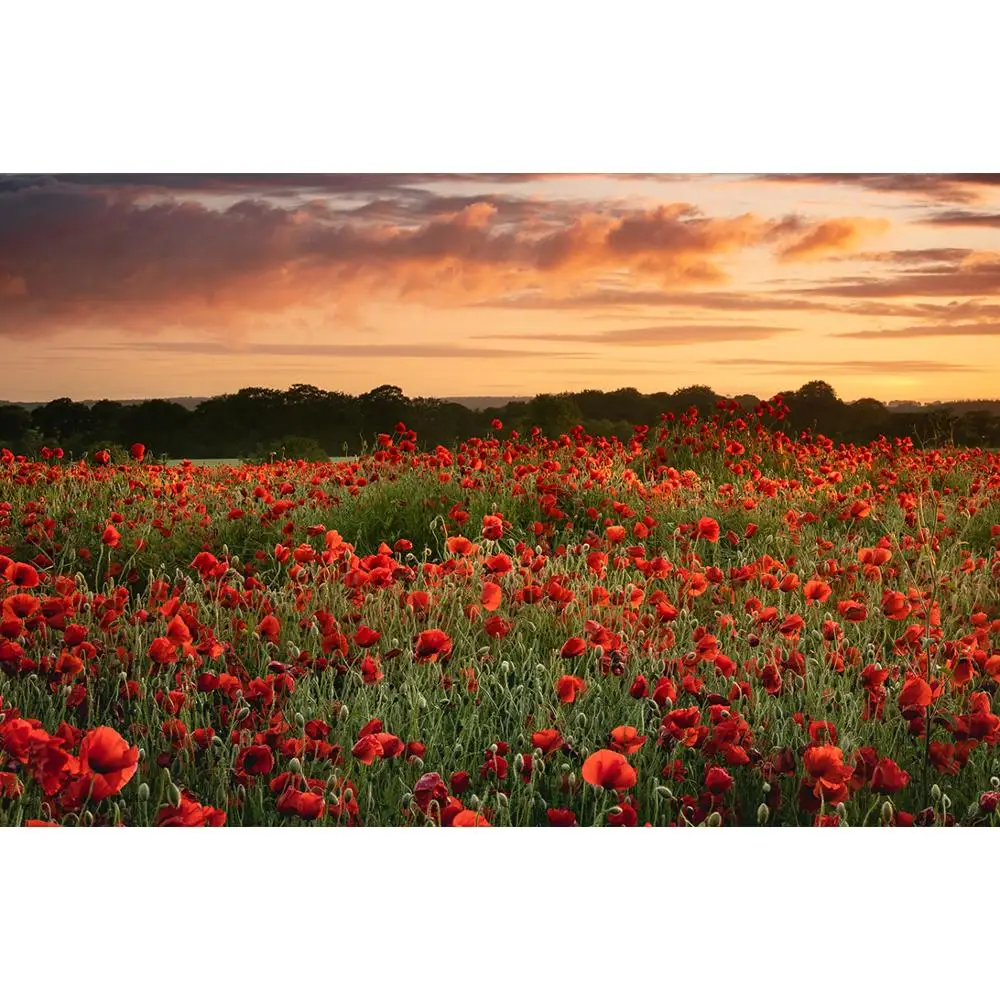 

SHENGYONGBAO Vinyl Custom Photography Backdrops Prop Flower and Wooden Planks Theme Photography Background 200309HK-0012