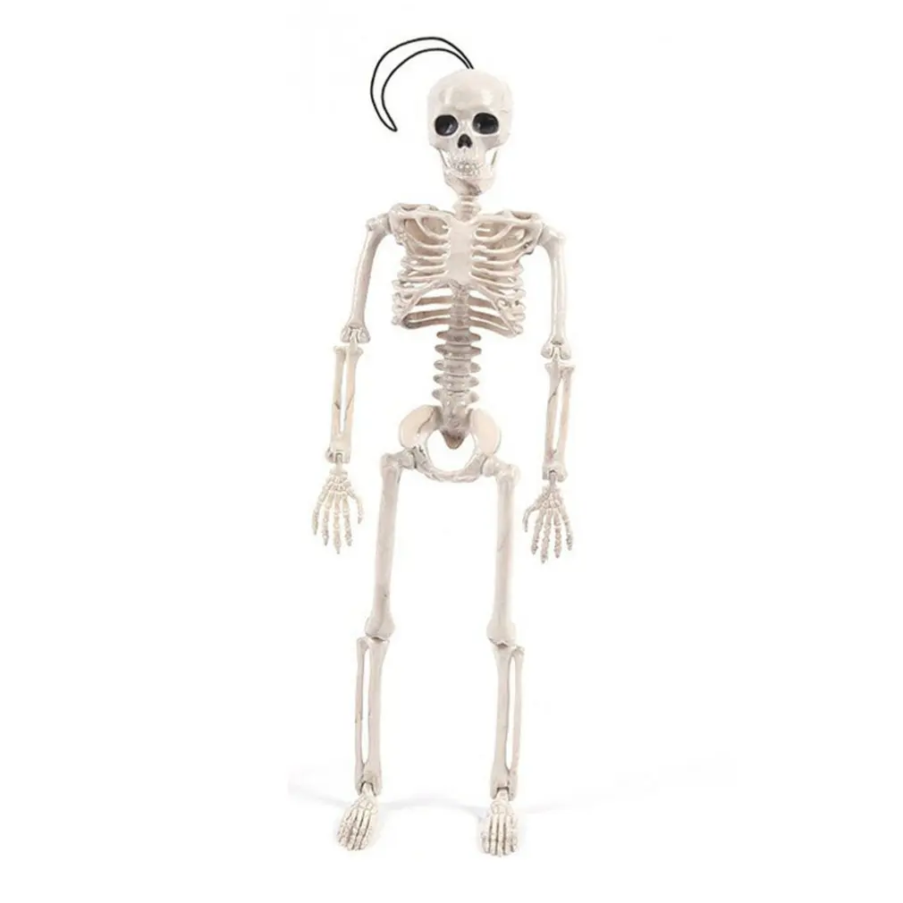 

Hot Sale Halloween Accessories Party Ball Simulated Bones Ghost House Props Decorated Plastic Skeleton Decoration