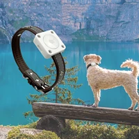 suitable for pet collar mounting bracket with collar width less than 20mm suitable for airtag locator mounting bracket1
