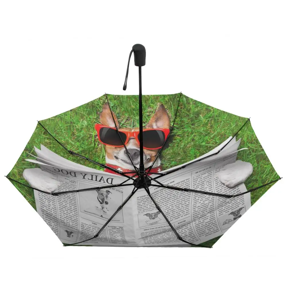 Зонт-автомат для чтения собак и газет три складных зонта своими руками зонты