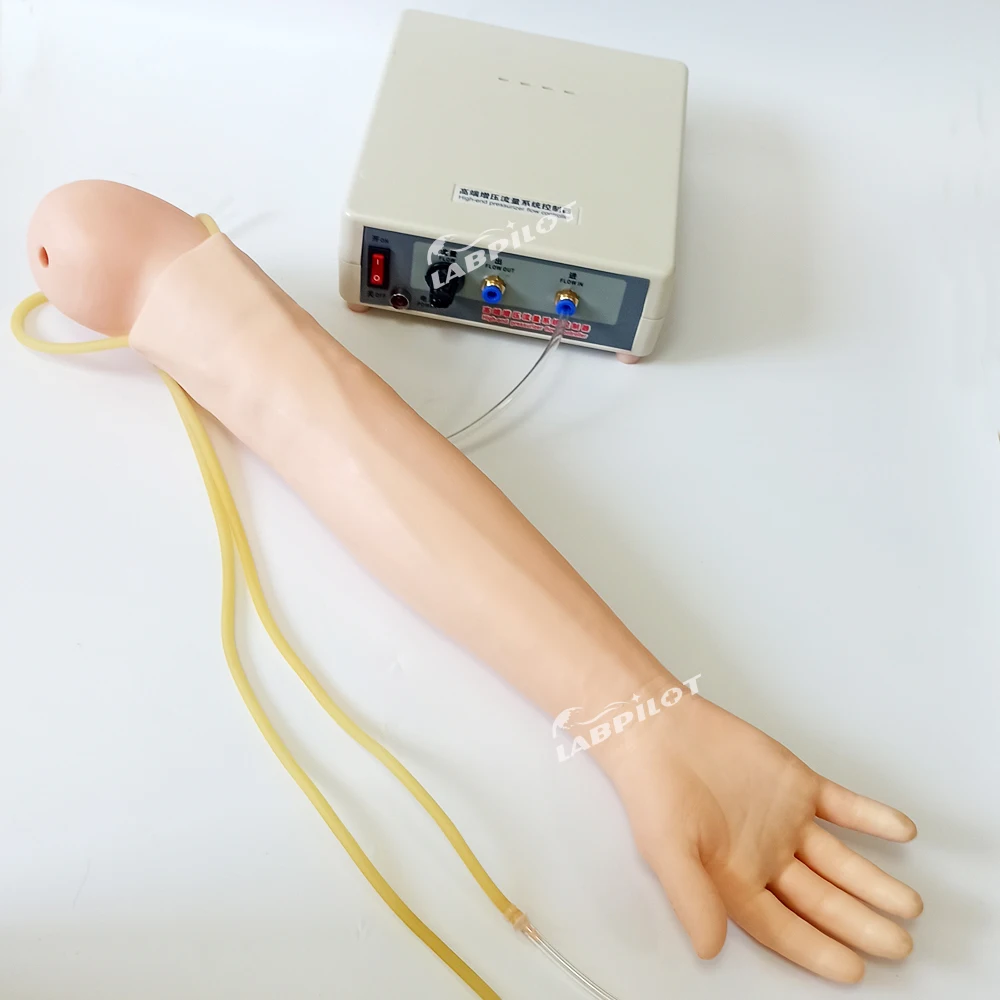 Полнофункциональный тренировочный рычаг IV Venipuncture I.M. Модель для инъекций с