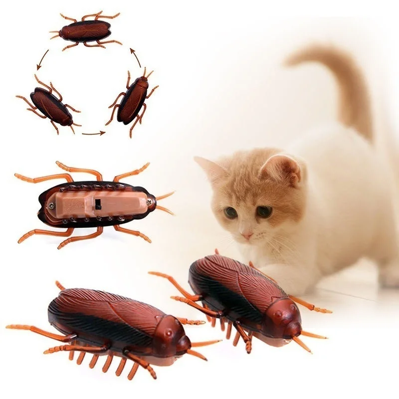 Ginflash 1PC Funny Simulation of Cockroaches Pet Cat Dog Kitten Interactive Training Play Toy Funny Tricky Toys no box