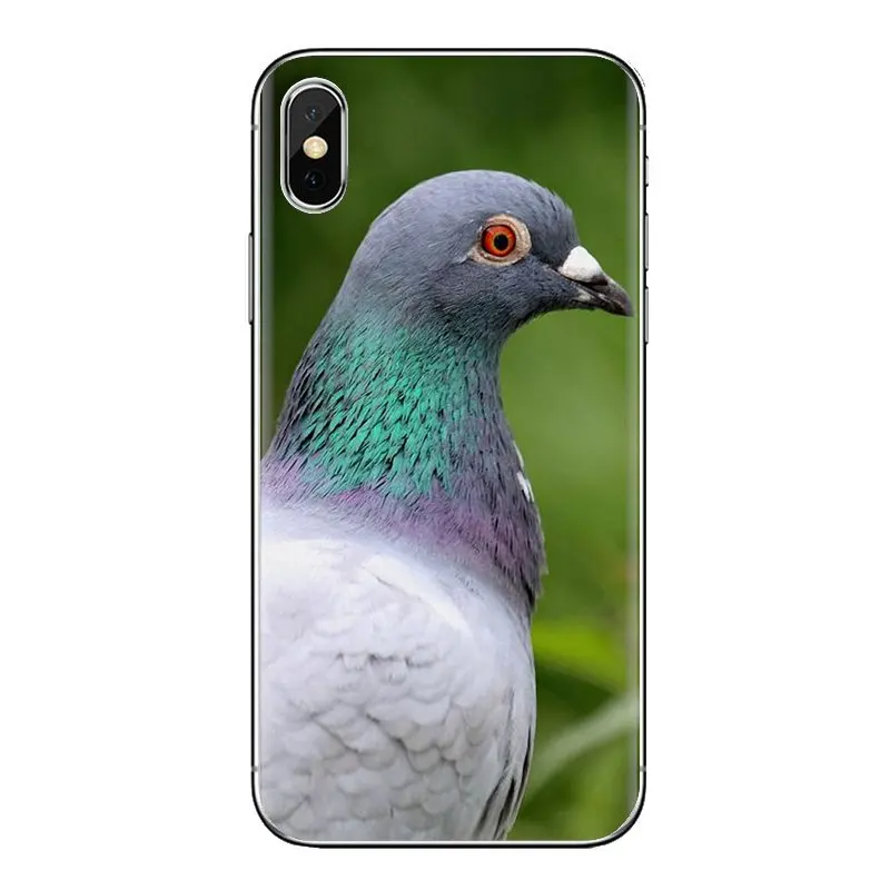 For Samsung Galaxy S3 S4 S5 Mini S6 S7 Edge S8 S9 S10 Plus Note 3 4 5 8 9 Pastel Pigeon Free beautiful bird Silicone Phone Cover |