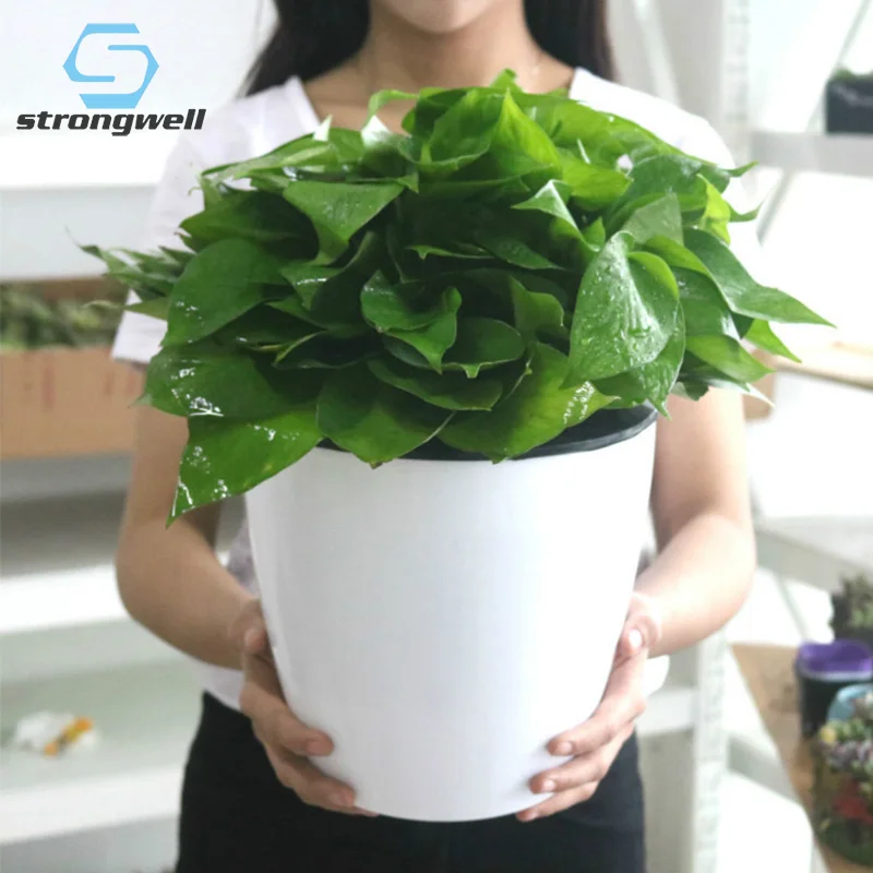 

Strongwell Nordic Hydroponics Flower Pot Fairy Garden Art Vase Plastic Ornaments Wholesale Promotion Plant Holder Home Flowerpot