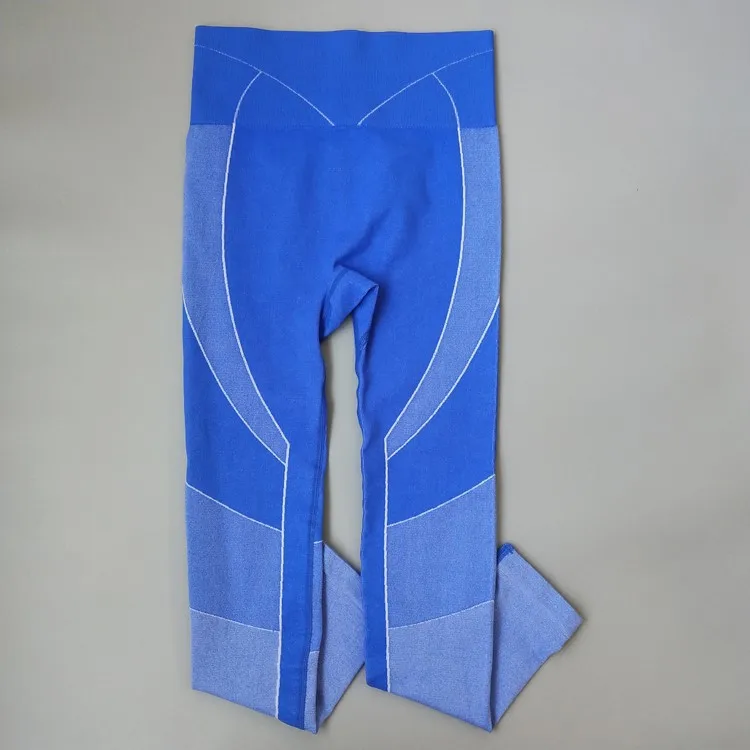 CB1064 blue pant Зима Осень Engery Ombre бесшовный комплект для йоги женский спортивный костюм Одежда для спортзала с длинным рукавом для фитнеса укороченный Топ Леггинсы спортивный костюм для йоги - Цвет: CB1064 blue pant