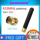 Антенна 433 МГц 3dbi gain LORA SMA Штекерный разъем прямой коннектор 433 МГц IOT направленная антенна для Lorawan watermeter