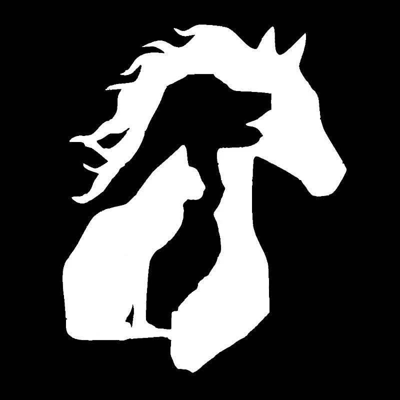 

Car Stickers Decor Motorcycle Decals LOVER Horse Dog Cat Decorative Accessories Creative Sunscreen Waterproof PVC, 15cm*13cm